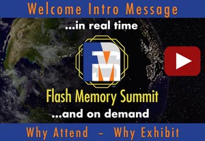 Flash Memory Summit 2020 Virtual Expo Video